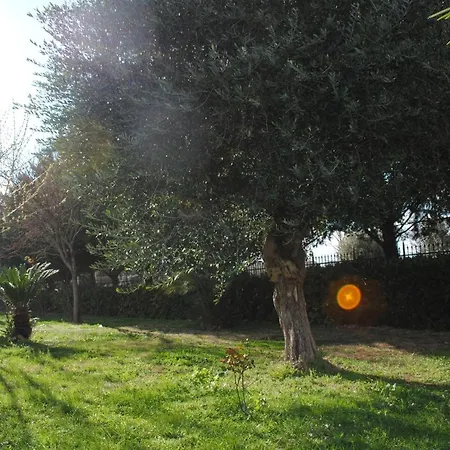 Pirro Farmház *