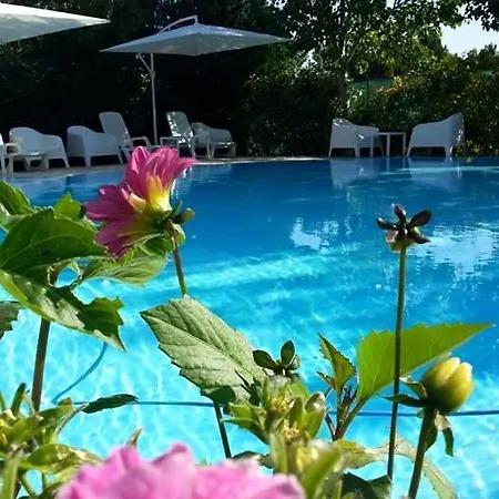 Pirro Farm stay *